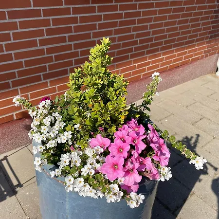 Daire In Brons Skærbæk